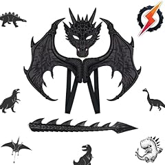 Ali drago costume usato  Spedito ovunque in Italia 