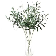 5pcs olive branches for sale  Delivered anywhere in USA 