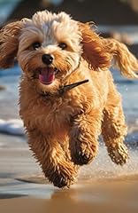 Dog breed notebook for sale  Delivered anywhere in UK