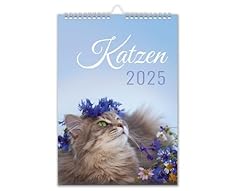 Kalender 2025 katzen gebraucht kaufen  Wird an jeden Ort in Deutschland