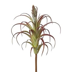 Artplants kunst sukkulente gebraucht kaufen  Wird an jeden Ort in Deutschland