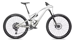 Specialized stumpjumper evo gebraucht kaufen  Wird an jeden Ort in Deutschland
