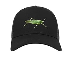 Grasshopper spirit animal for sale  Delivered anywhere in UK