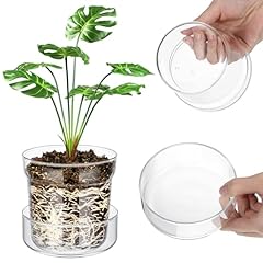 Baderke inch glass for sale  Delivered anywhere in USA 