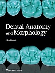 Dental anatomy morphology for sale  Delivered anywhere in Ireland
