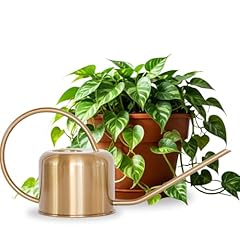 Stainless steel watering for sale  Delivered anywhere in USA 