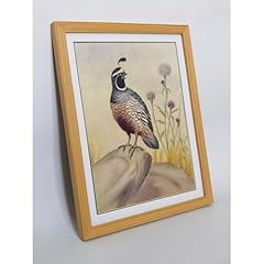 Gemoriginal art prints for sale  Delivered anywhere in USA 
