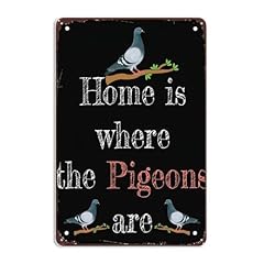 Cute homing pigeon for sale  Delivered anywhere in USA 