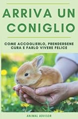 Coniglio nano guida usato  Spedito ovunque in Italia 