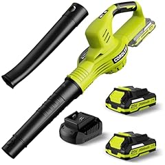 Leaf blower cordless for sale  Delivered anywhere in USA 