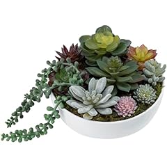 Mygift artificial succulent for sale  Delivered anywhere in USA 