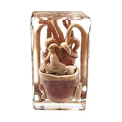 Chestnut seaanimal squid for sale  Delivered anywhere in UK