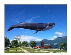 17m whale kite for sale  Delivered anywhere in USA 