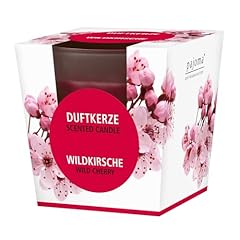 Pajoma duftkerze wildkirsche gebraucht kaufen  Wird an jeden Ort in Deutschland