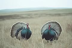 Turkey canvas wall for sale  Delivered anywhere in USA 