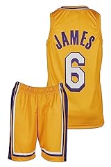 Amdrabola lakers lebron d'occasion  Livré partout en France