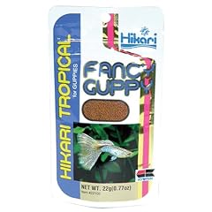 Tropical fancy guppy usato  Spedito ovunque in Italia 