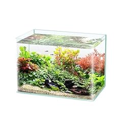 Xxad553ty acquario nuovo usato  Spedito ovunque in Italia 