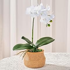 Avoeco artificial orchid for sale  Delivered anywhere in USA 