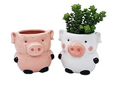 Cute pig planter for sale  Delivered anywhere in USA 