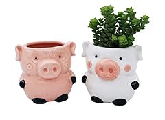 Cute pig planter for sale  Delivered anywhere in USA 