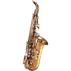 Rollins saxophone alto d'occasion  Livré partout en France