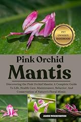 Pink orchid mantis for sale  Delivered anywhere in UK