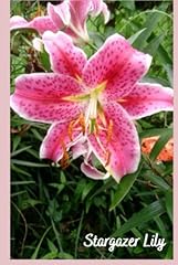 Stargazer lily notebook for sale  Delivered anywhere in UK