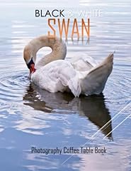 Black white swan for sale  Delivered anywhere in USA 