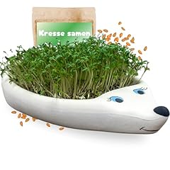 Florando kresseigel hochwertig gebraucht kaufen  Wird an jeden Ort in Deutschland