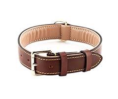 Brute strength hundehalsband gebraucht kaufen  Wird an jeden Ort in Deutschland