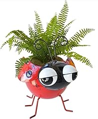 Giftme succulent planter for sale  Delivered anywhere in USA 