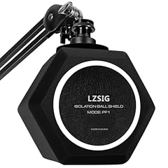 Lzsig professional microphone for sale  Delivered anywhere in USA 