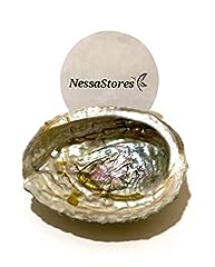 Nessastores pink abalone for sale  Delivered anywhere in Ireland