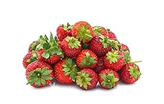 Seascape everbearing strawberr for sale  Delivered anywhere in USA 