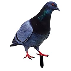 Besportble lifelike pigeon for sale  Delivered anywhere in UK