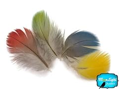 Parrot feathers mix for sale  Delivered anywhere in USA 