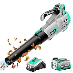 Litheli 20v cordless for sale  Delivered anywhere in USA 