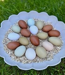 Chicken mixed eggs for sale  Delivered anywhere in UK