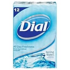 Dial spring water usato  Spedito ovunque in Italia 
