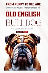Old english bulldog for sale  Delivered anywhere in UK