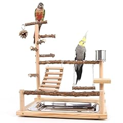 Dynaeuty wooden bird for sale  Delivered anywhere in UK
