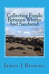 Collecting fossils whitby for sale  Delivered anywhere in UK