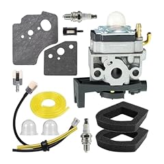 Kit carburatore per usato  Spedito ovunque in Italia 