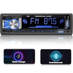 Nhopeew radio bluetooth usato  Spedito ovunque in Italia 