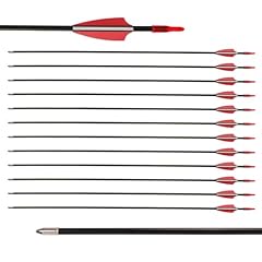 Lwano fiberglass arrows for sale  Delivered anywhere in USA 