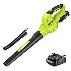 Snapfresh leaf blower for sale  Delivered anywhere in USA 