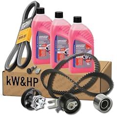 Kit distribuzione pompa usato  Spedito ovunque in Italia 
