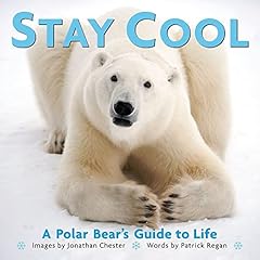 Stay cool polar d'occasion  Livré partout en France