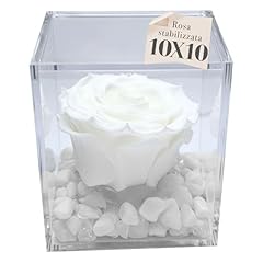 Premiumrose cubo rosa usato  Spedito ovunque in Italia 
